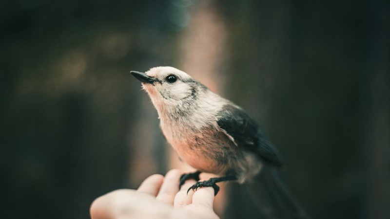 photo w 0, tags: für - unsplash