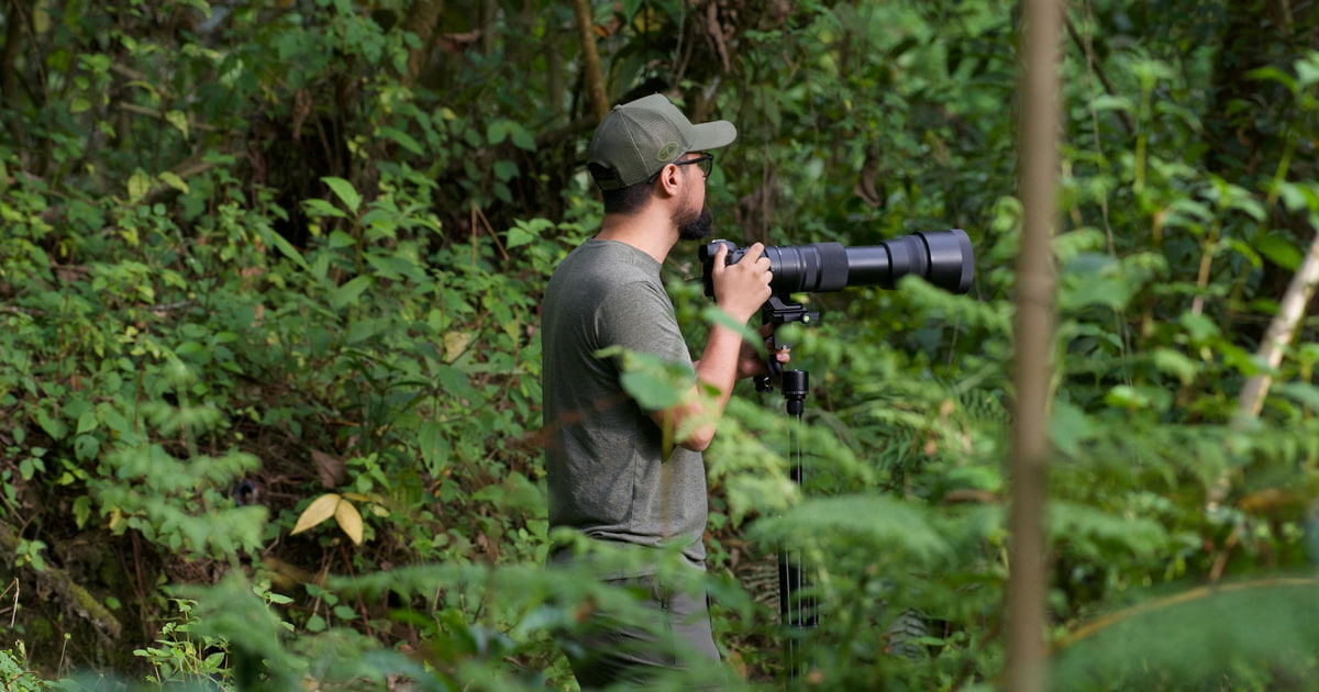Wildtiere im Maintal fotografieren: Praktische Tipps für die Naturfotografie
